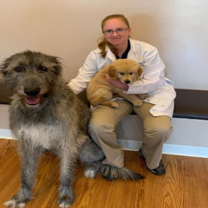 Dr. Alissa Allen photo